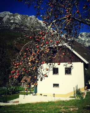 Apartmaji Katrč